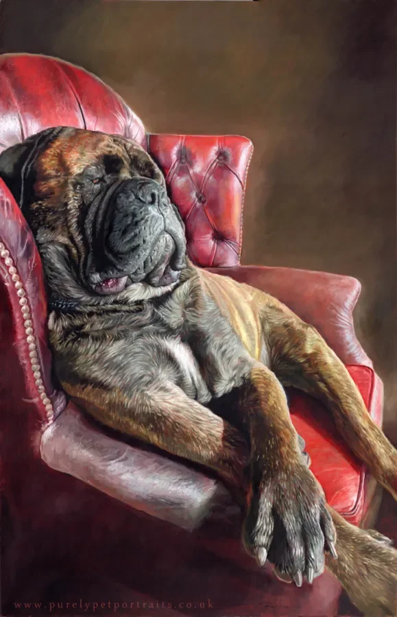 painting of a bulldog in a red chair