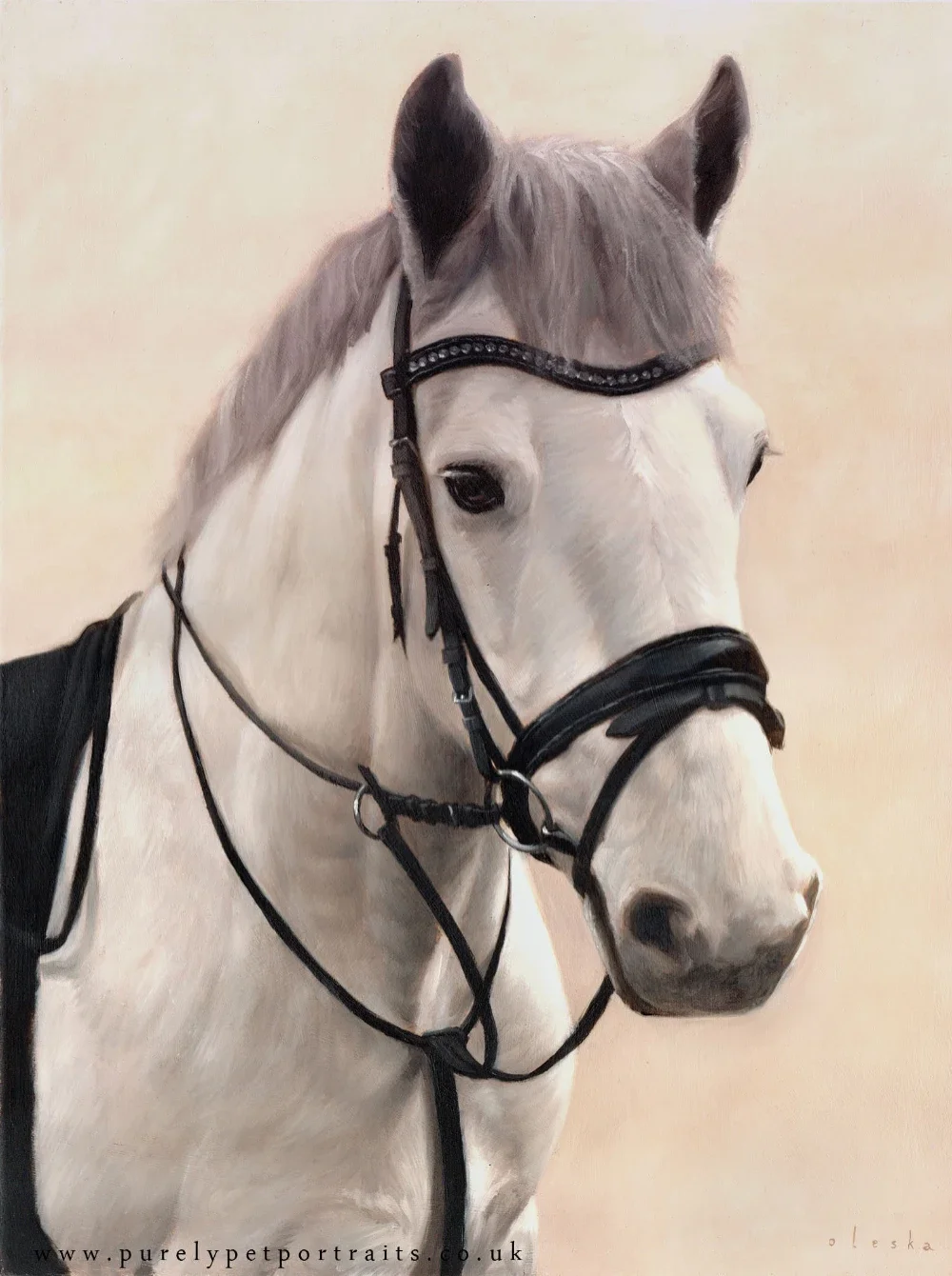 oil painting of a white horse, head and shoulders on a light yellow background