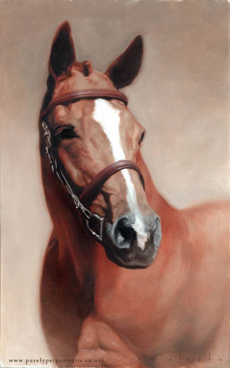 oil painting of a brown horse, head and shoulders portrait on a brown background
