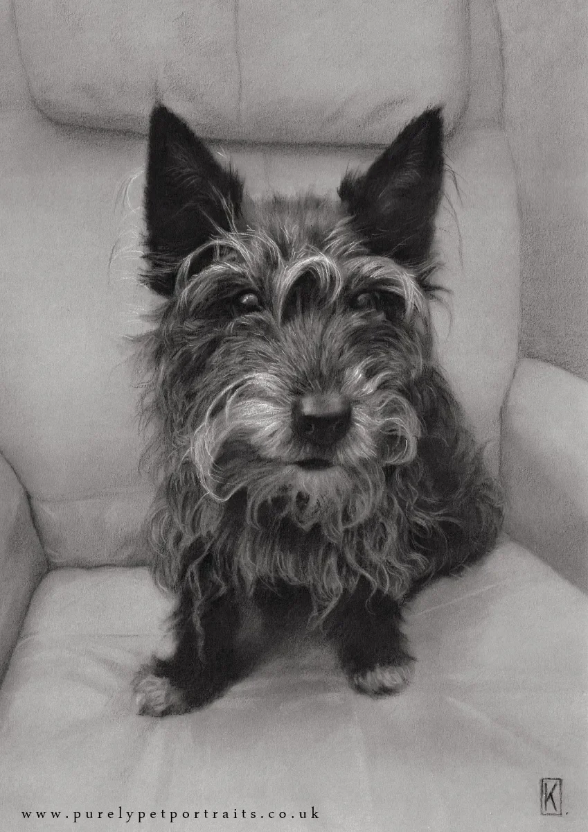 charcoal portrait of a dog on a chair full body