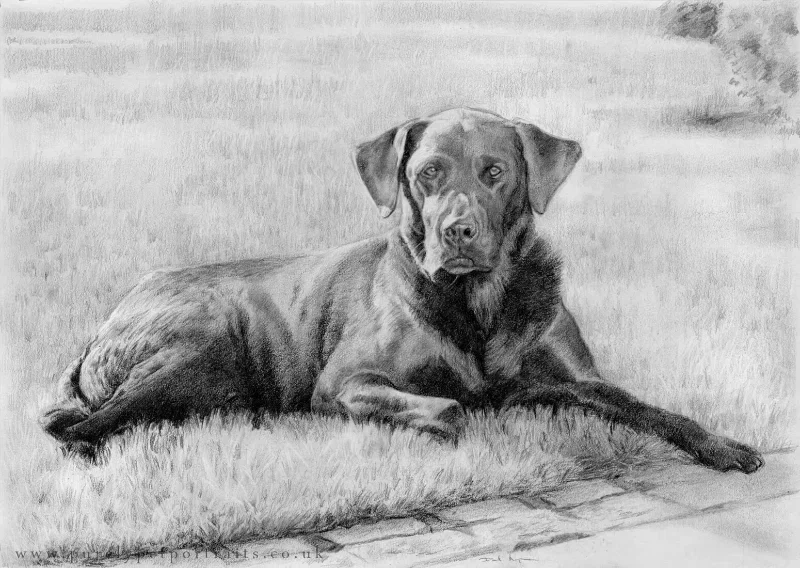 pencil+portrait+of+Charlie.webp