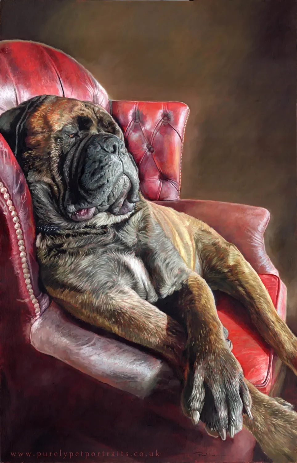 Boxer dog relaxing in a red chair