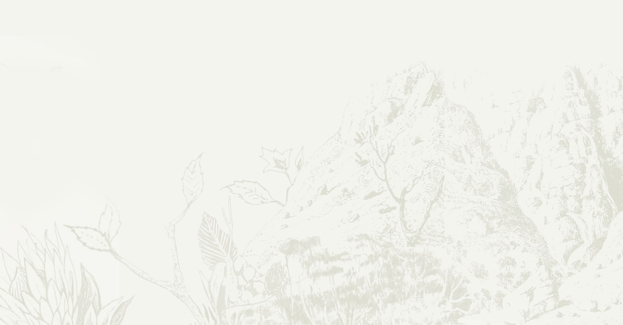 Wildeberg-our-home.jpg