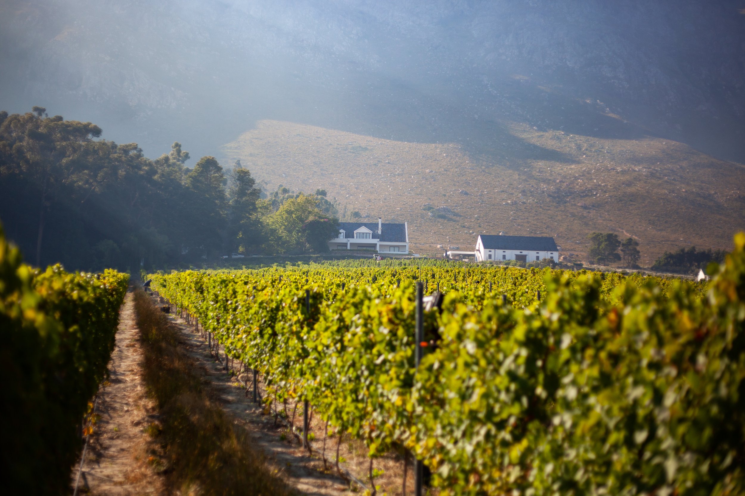 Wildeberg_mountain_backdrop.jpg