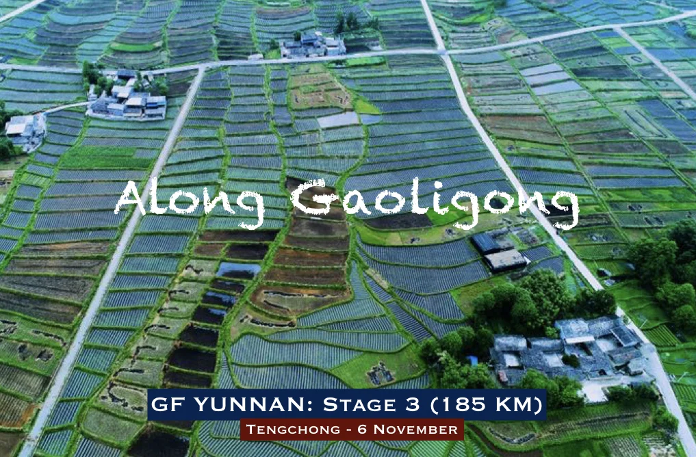 GFY 2019 Poster 2.005.jpeg