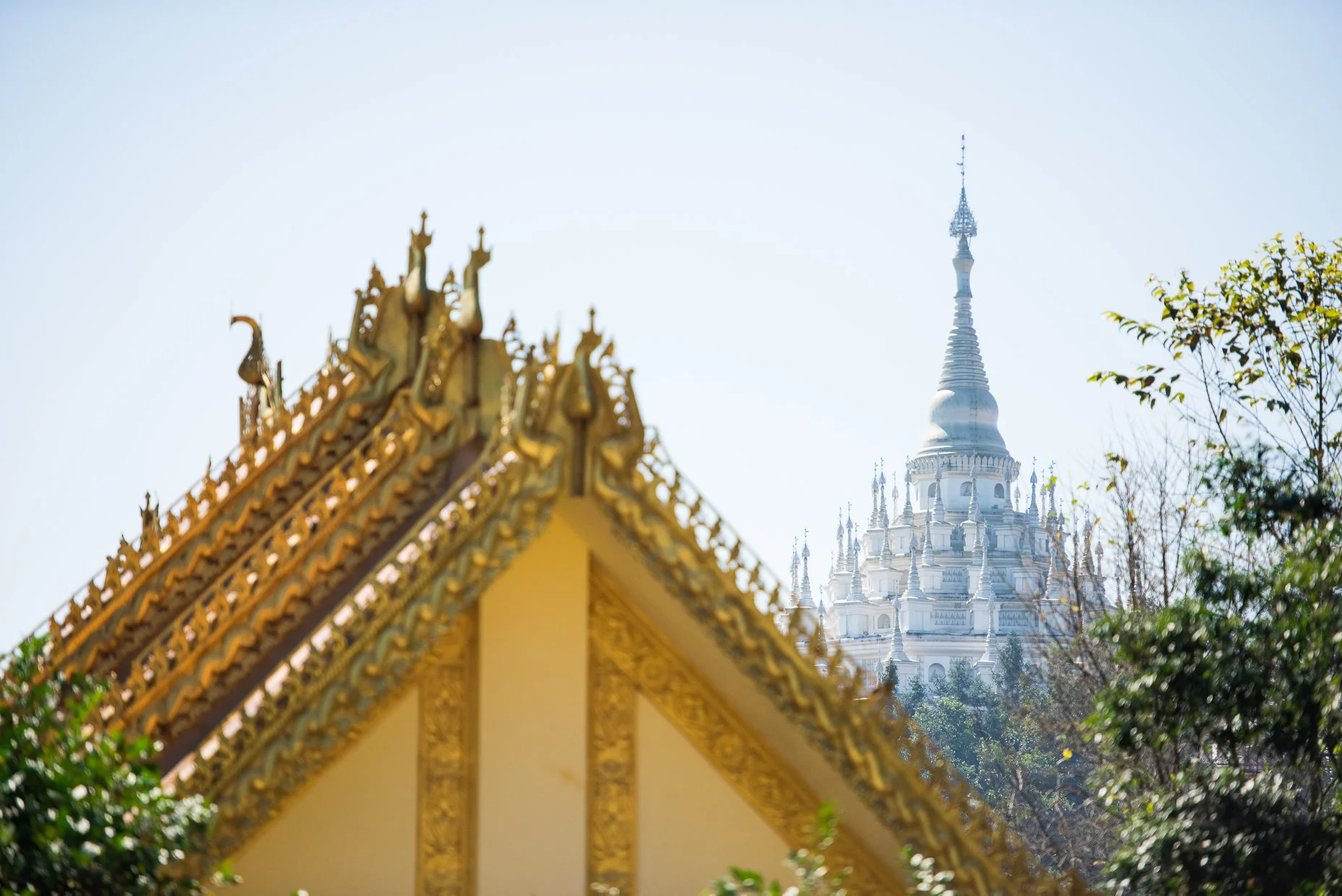 Check your start time in the Prologue TT!