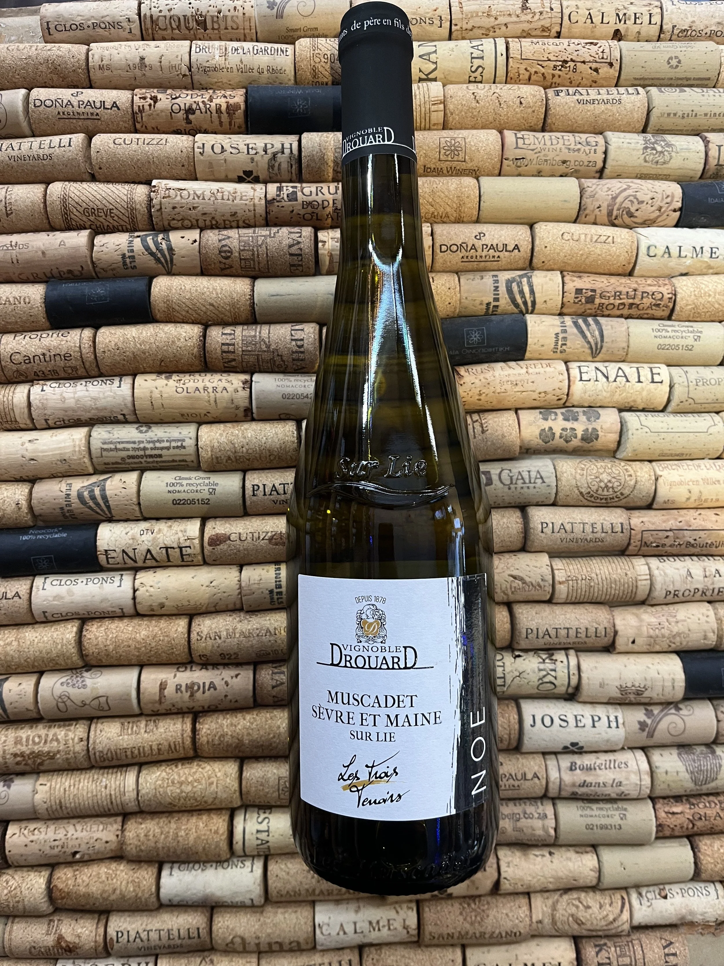 Muscadet Sur Lie de la Noe, France