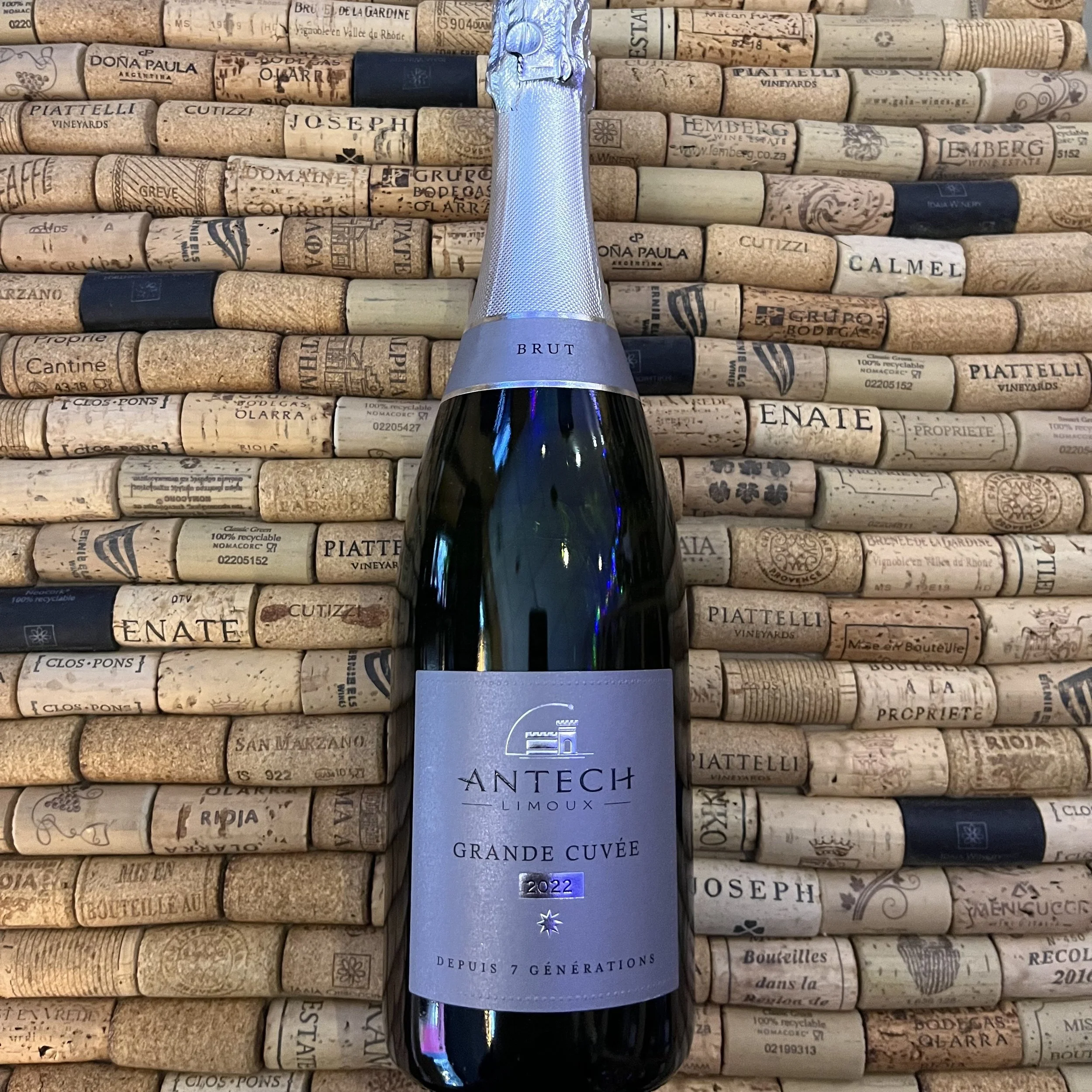 Antech Grande Cuvee Cremant de Limoux Brut, France