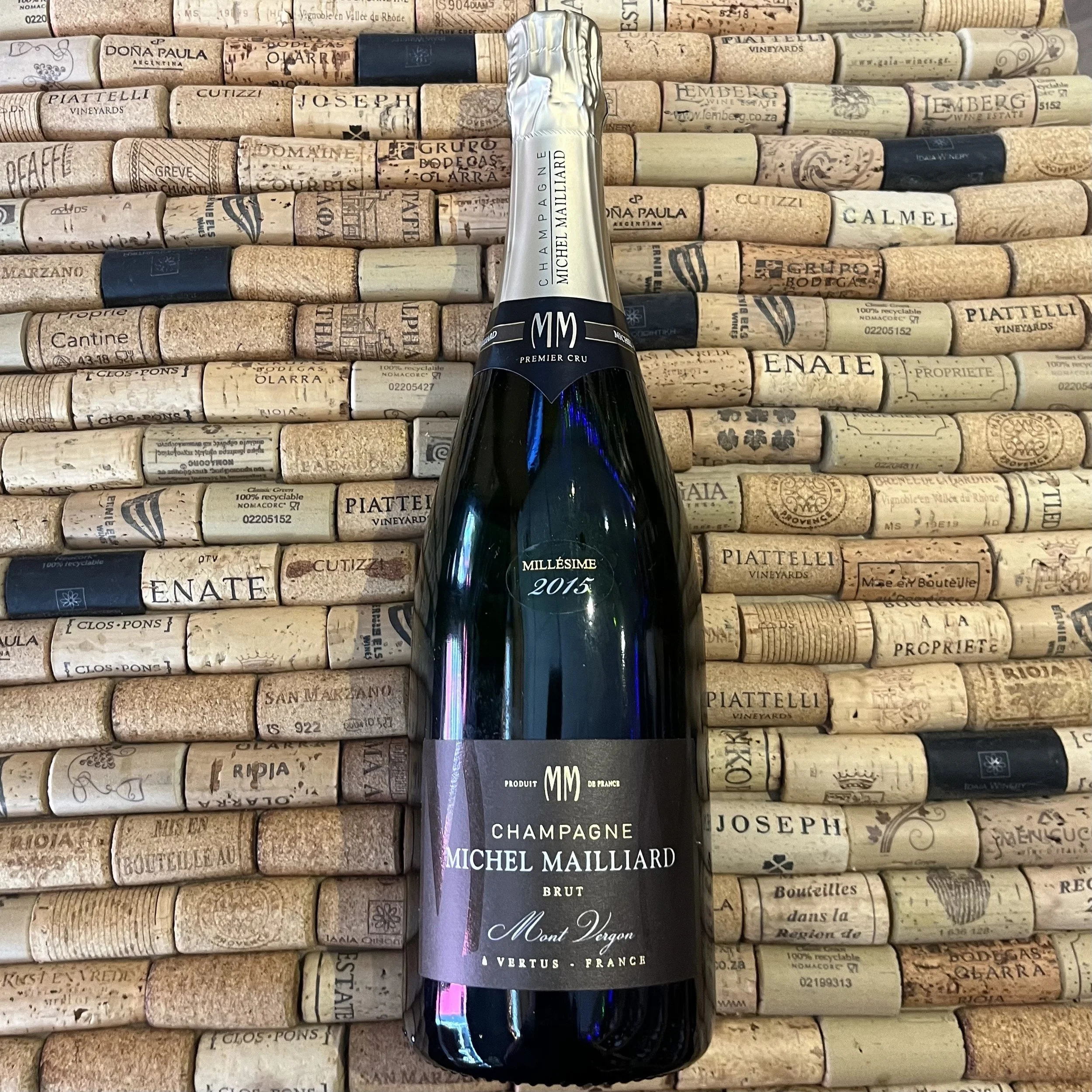 Michel Mailliard Mont Vergon 2015, France