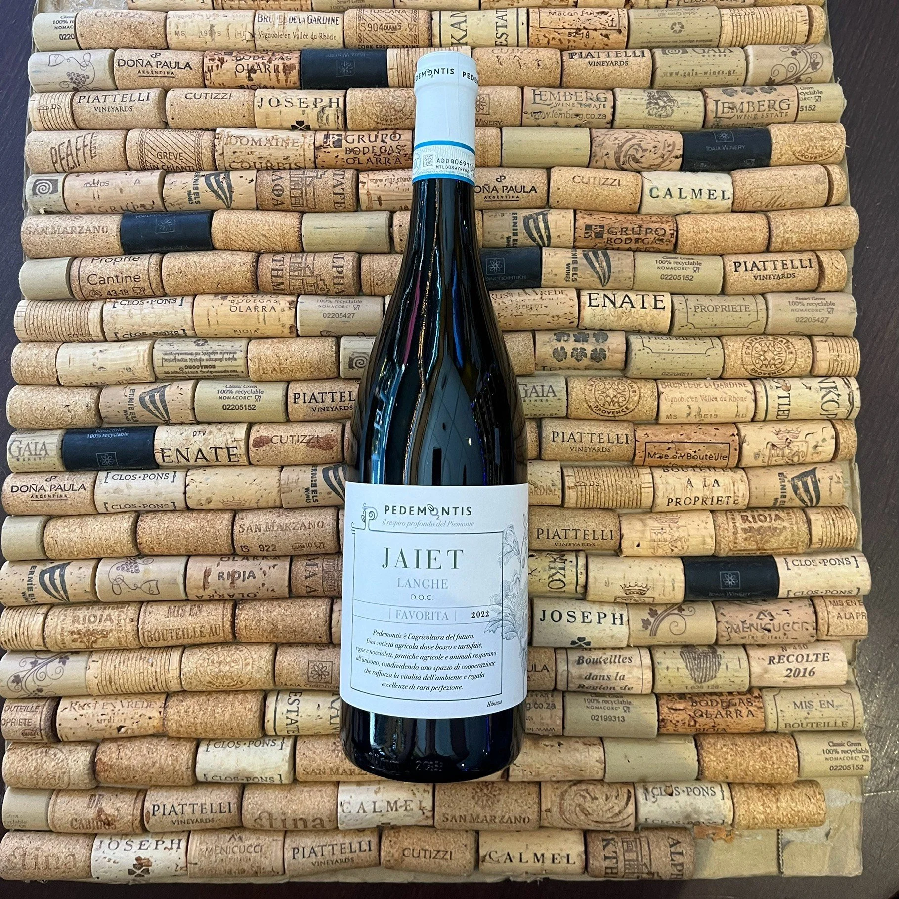 Pedemontis, 'Jaiet', Langhe, Favorita, Italy