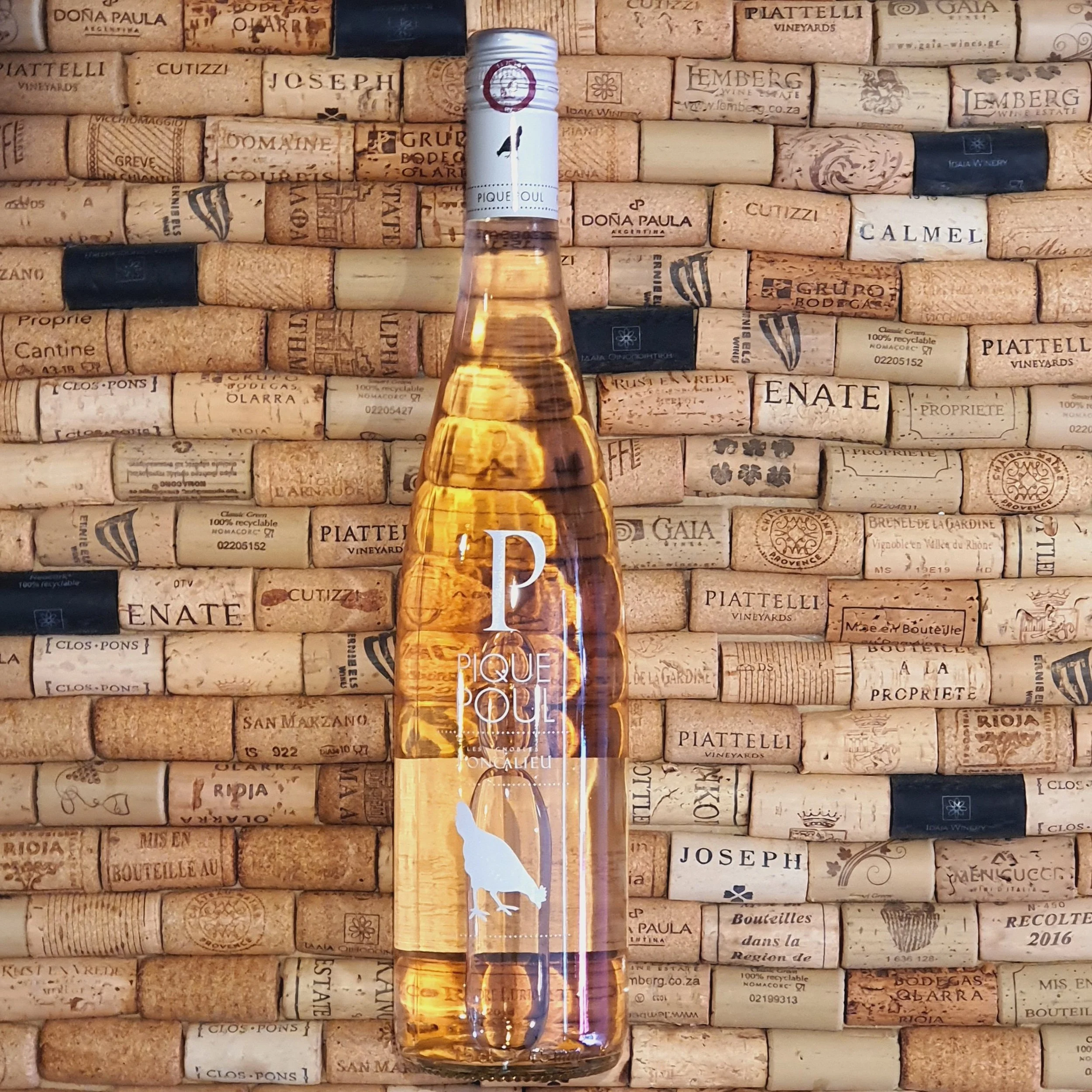 Piquepoul+Rose.jpg