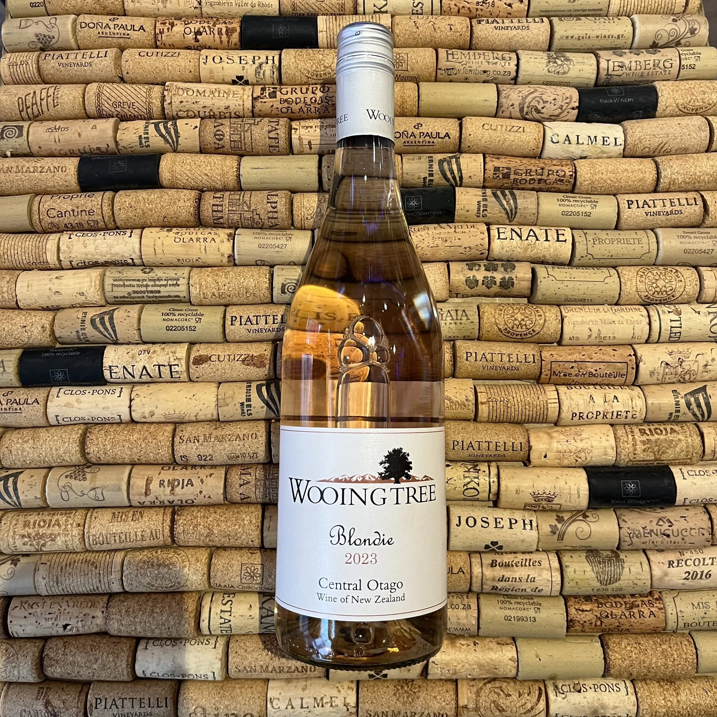 Wooing Tree – Blondie, New Zealand