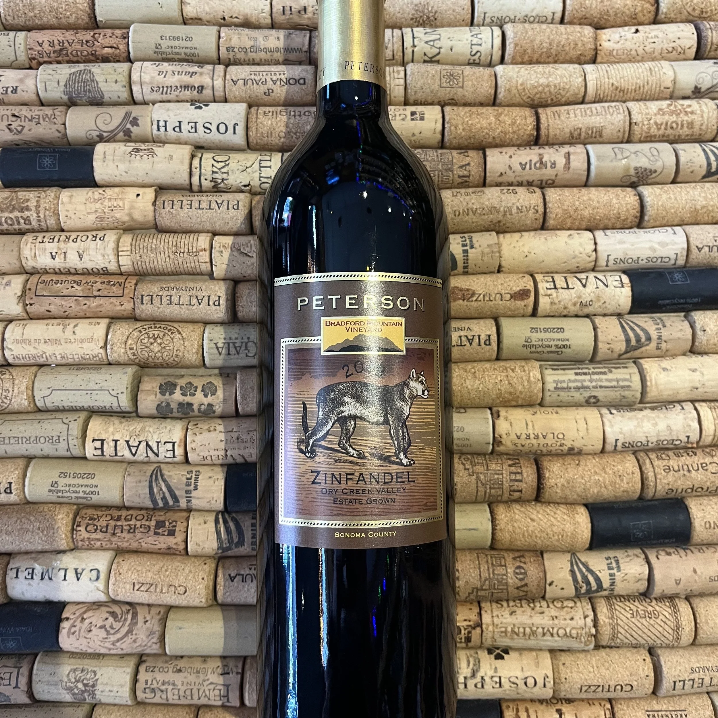 Peterson Winery, Bradford Mountain Estate Vineyard, Zinfandel, California, USA