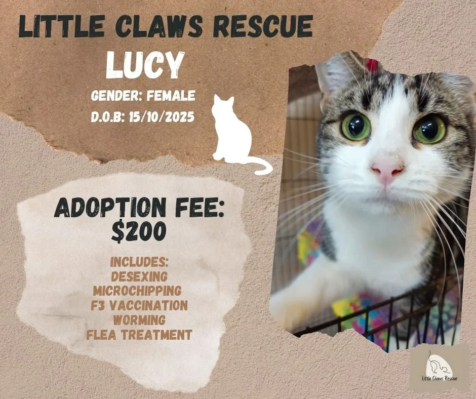 Lucy.jpg