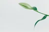 About Us — Systematic Growth