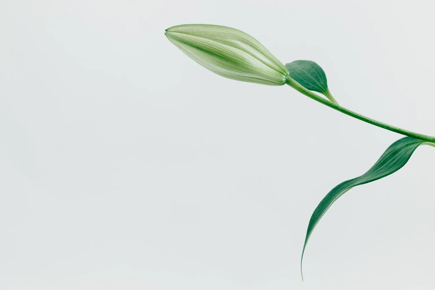 About Us — Systematic Growth