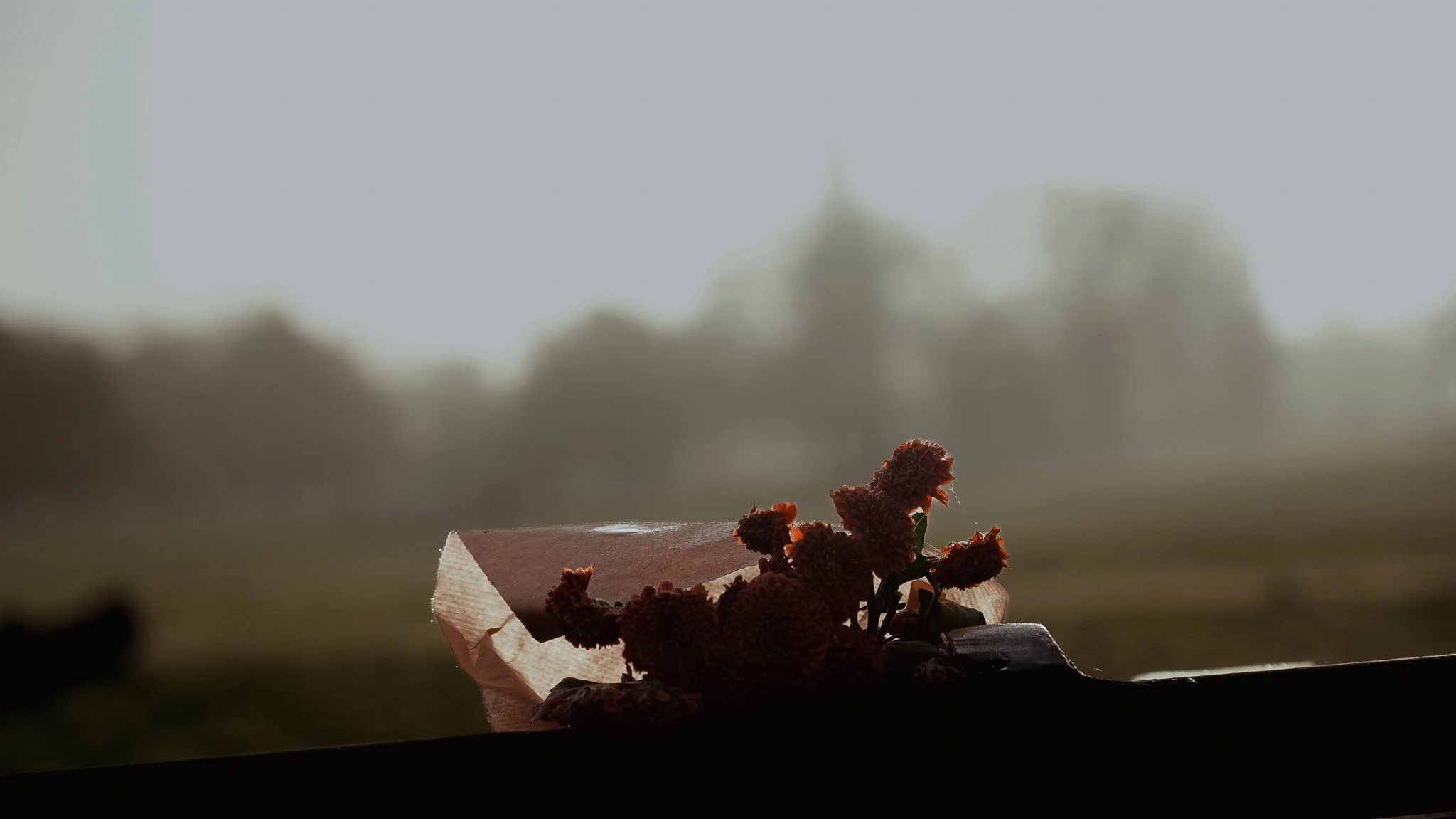 VID08212.JPG