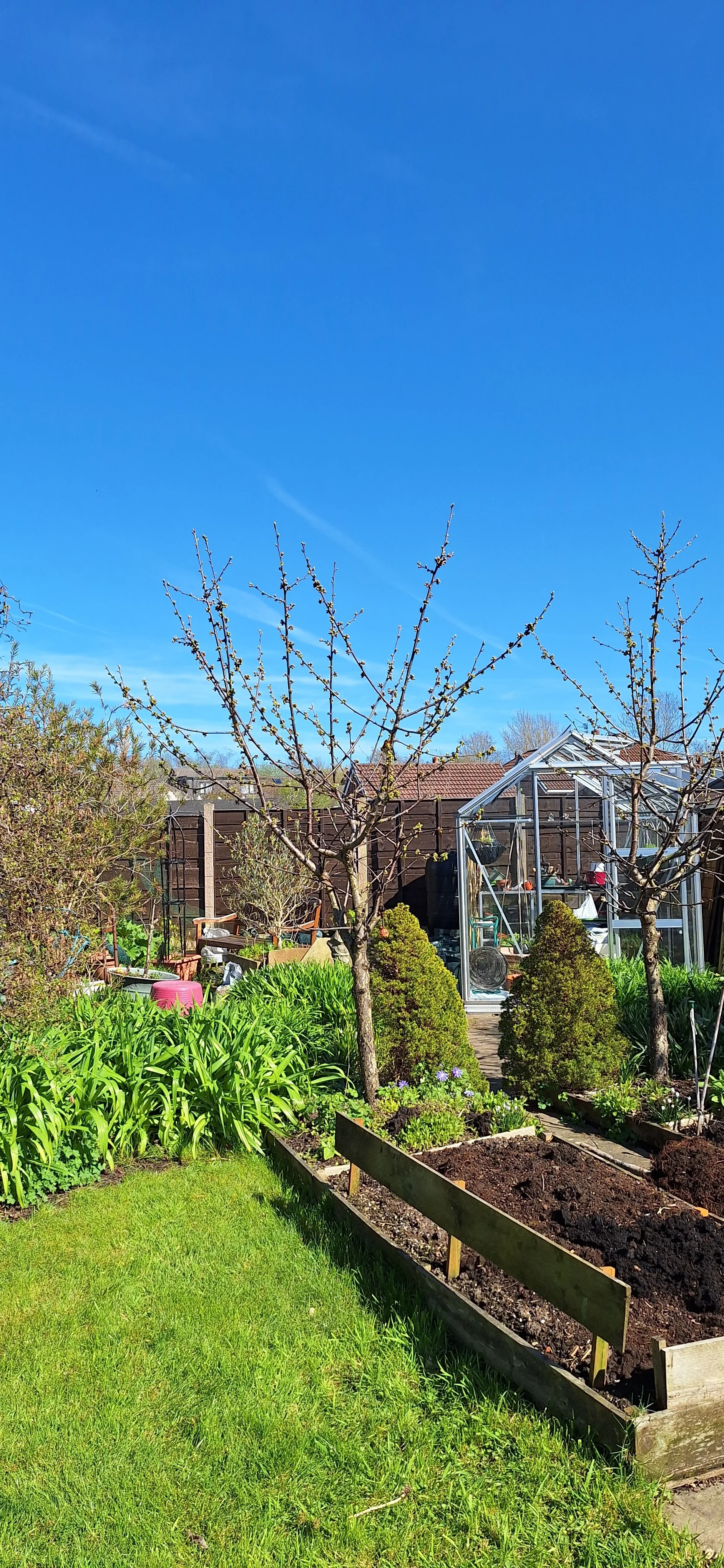 raised beds