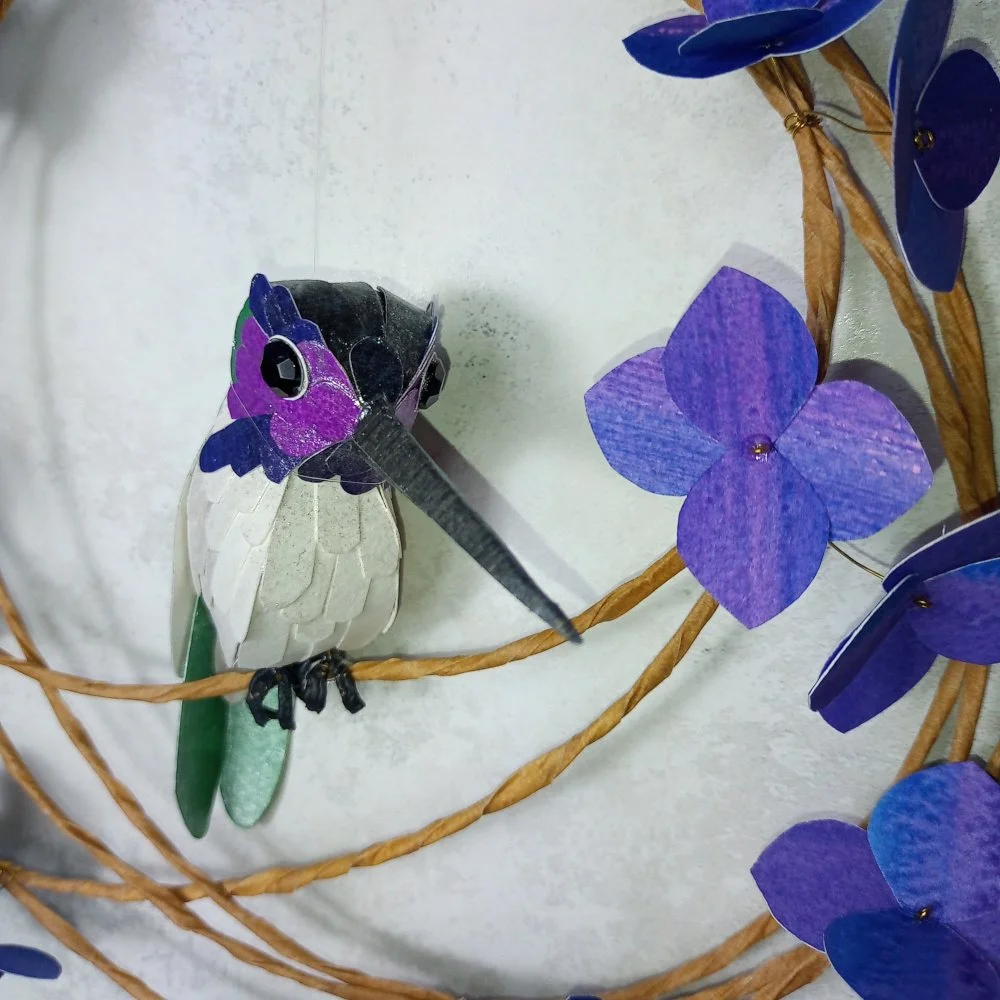 costas hummingbird.jpg