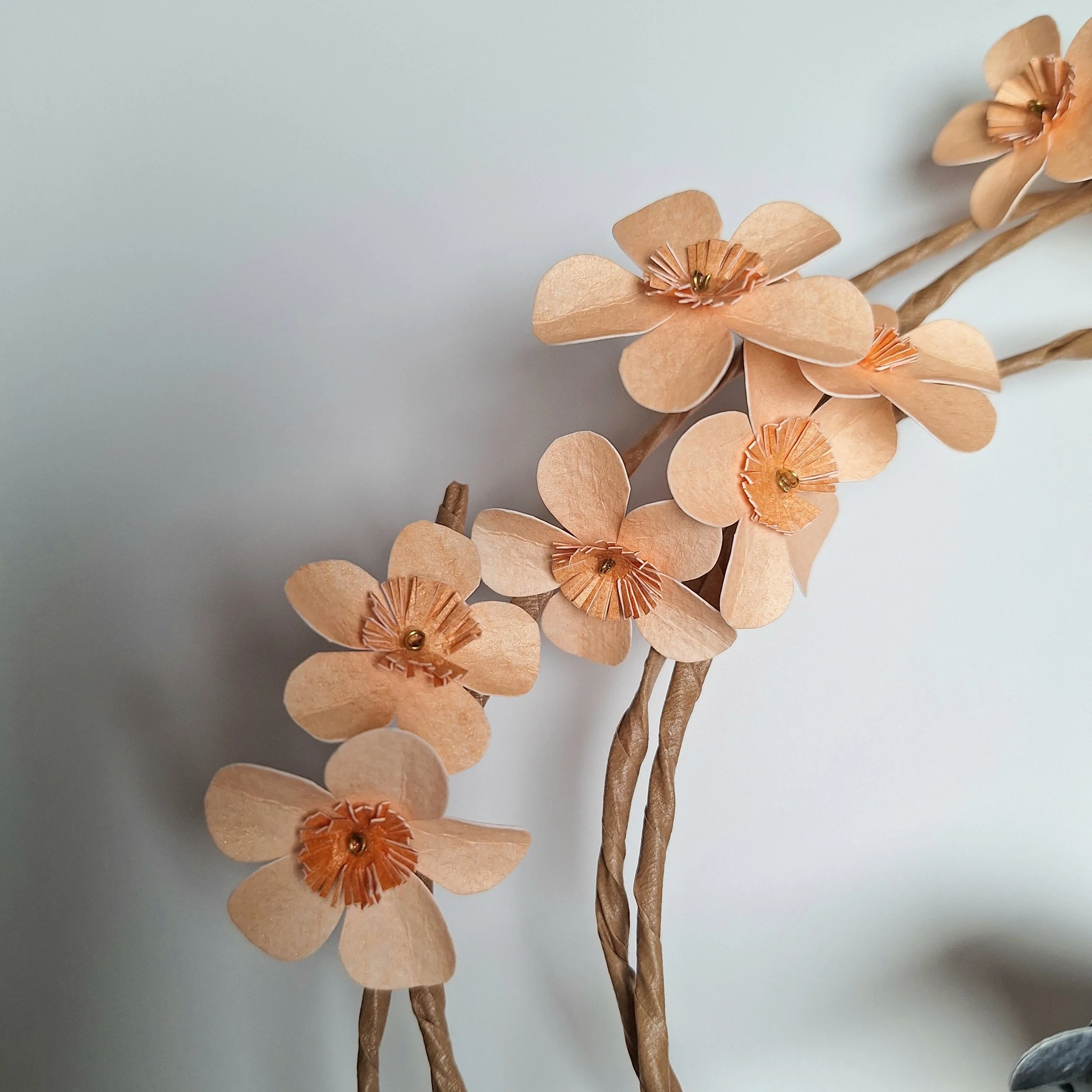 Kaper zebra finch bird on a floral hoop wall art (4).jpg