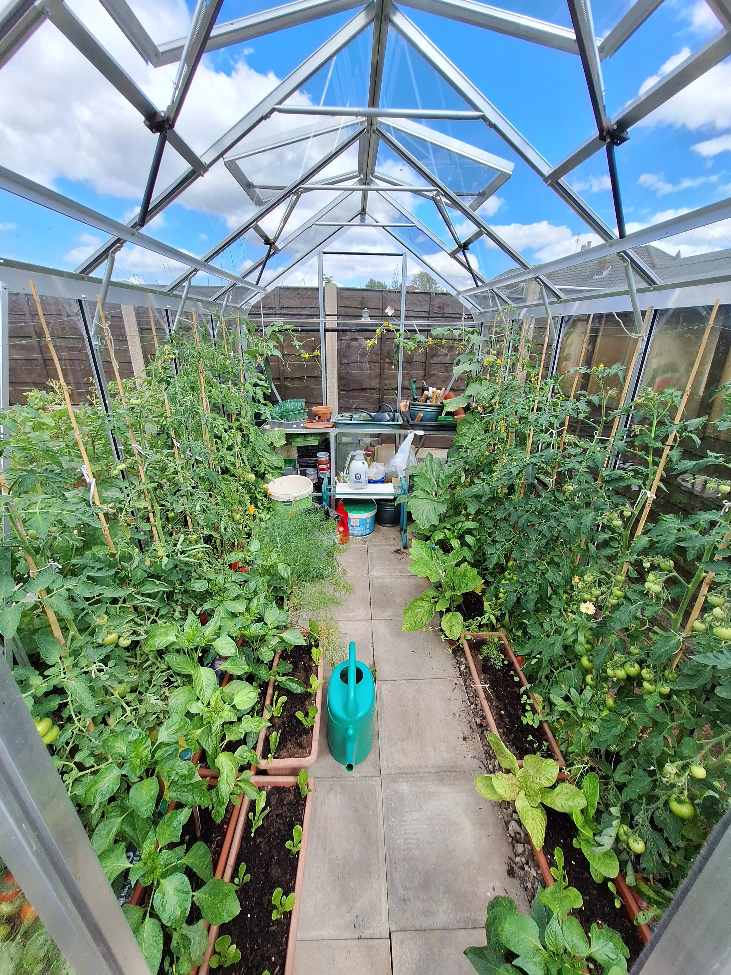 Greenhouse