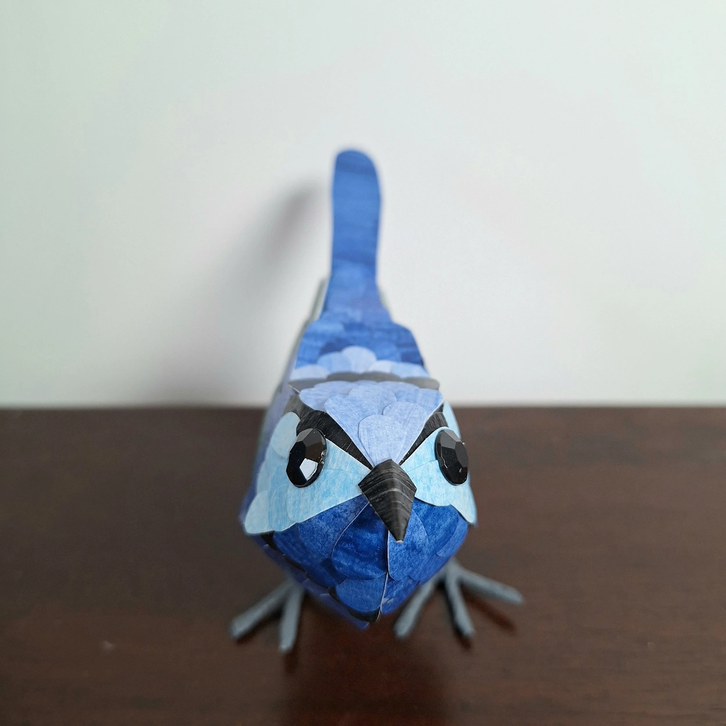 Kaper superb fairywren bird sculpture (7).jpg
