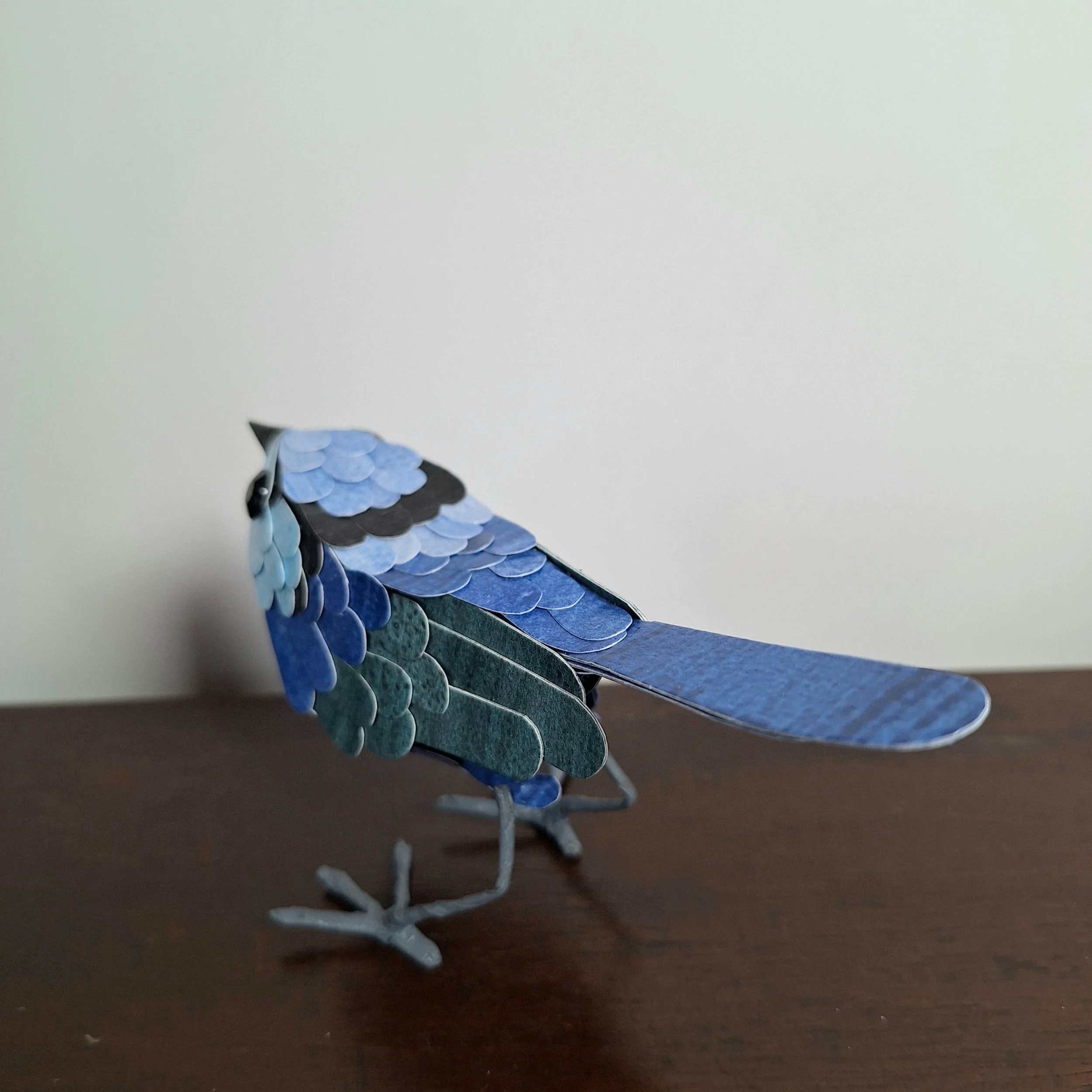 Kaper superb fairywren bird sculpture (1).jpg