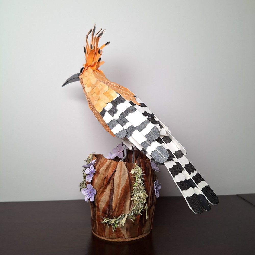 hoopoe 7.jpg