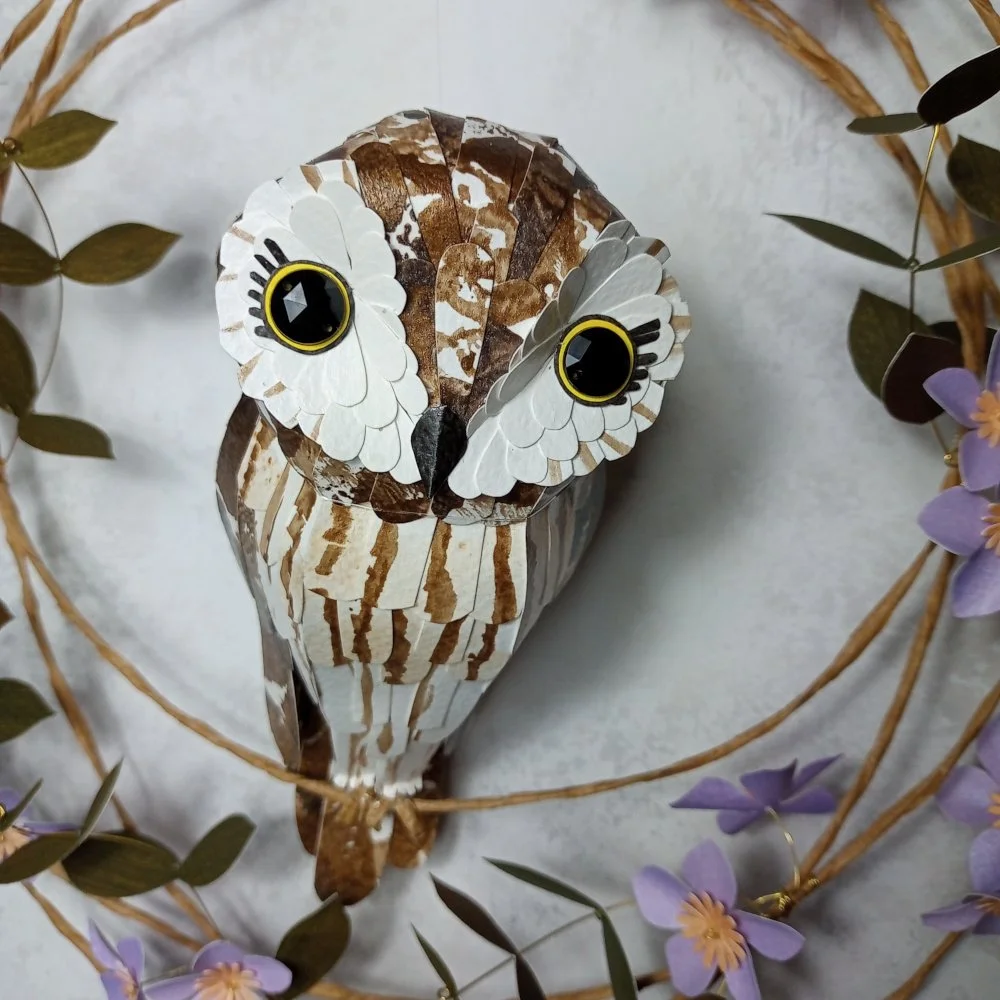 owl short eared.jpg