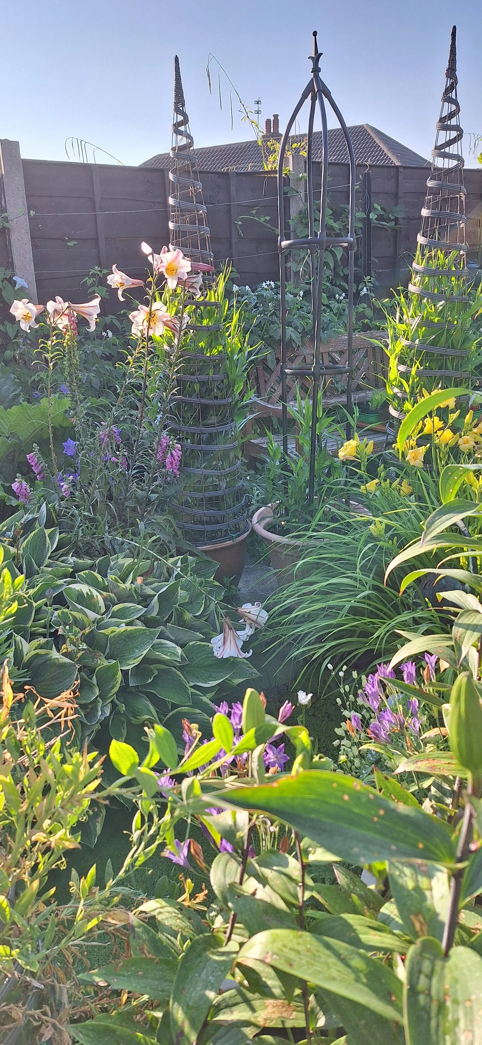 By the pond