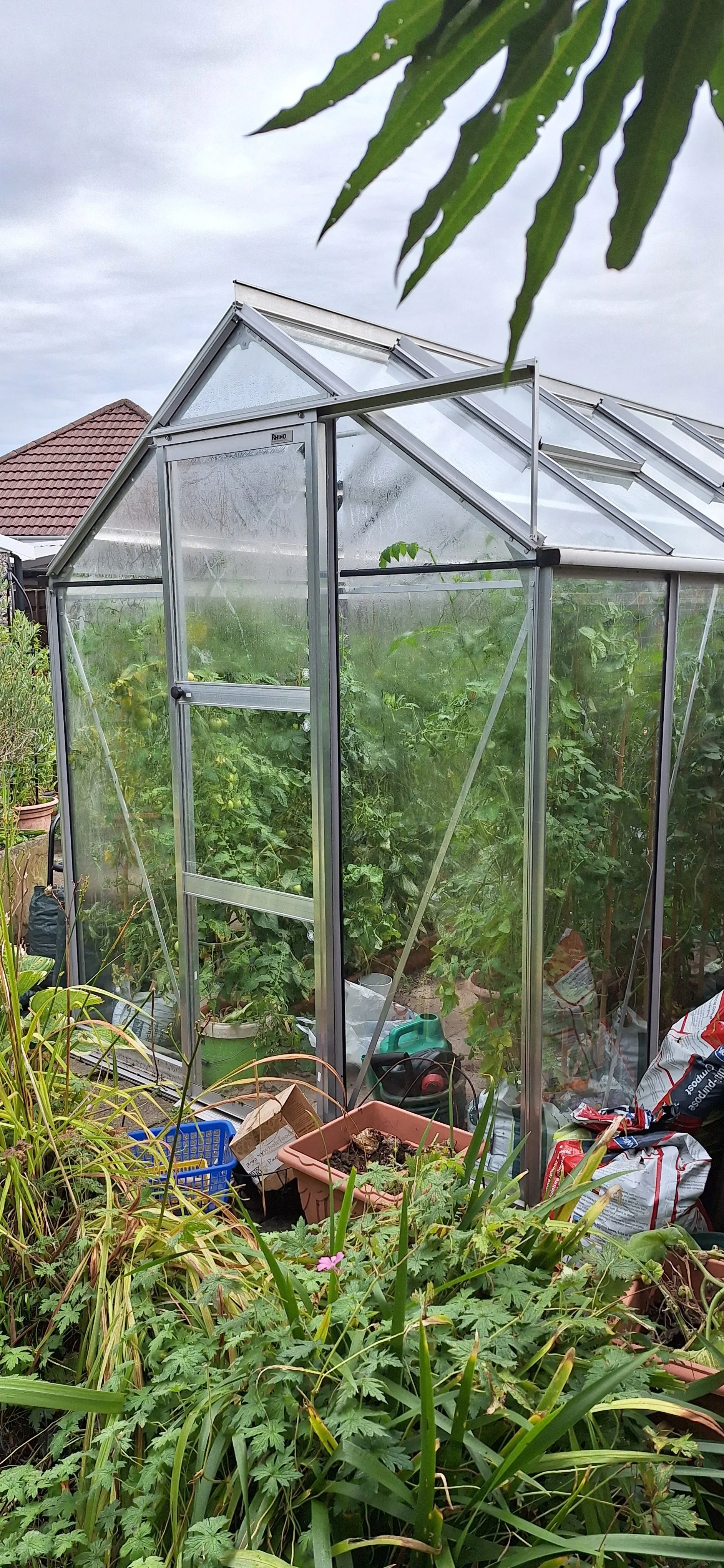 Greenhouse