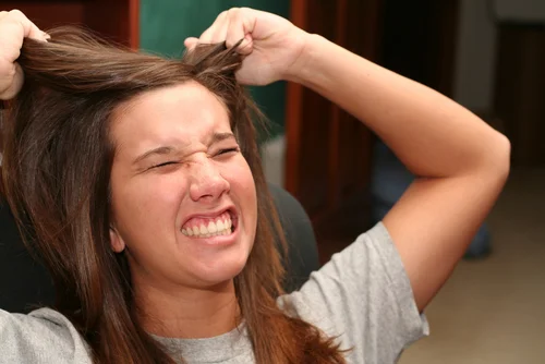 after-the-midterm.jpg