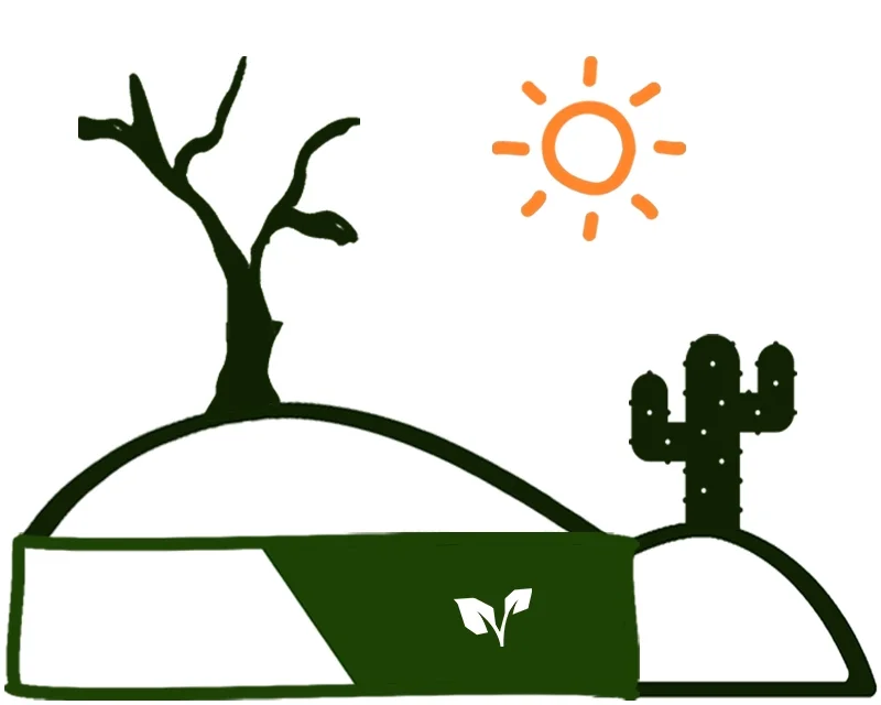 Desert V2.jpg