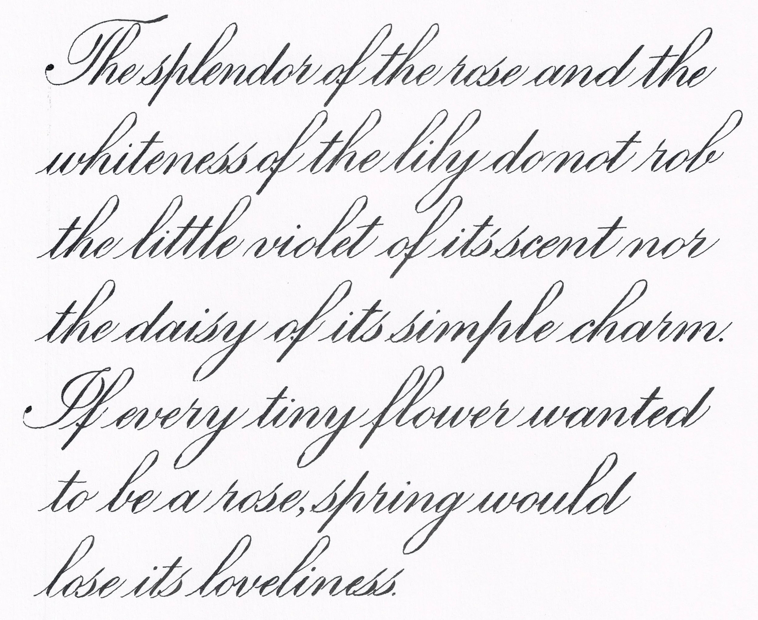 A Study in Script: Interpreting One Quote Four Ways — Panda Scribes ...