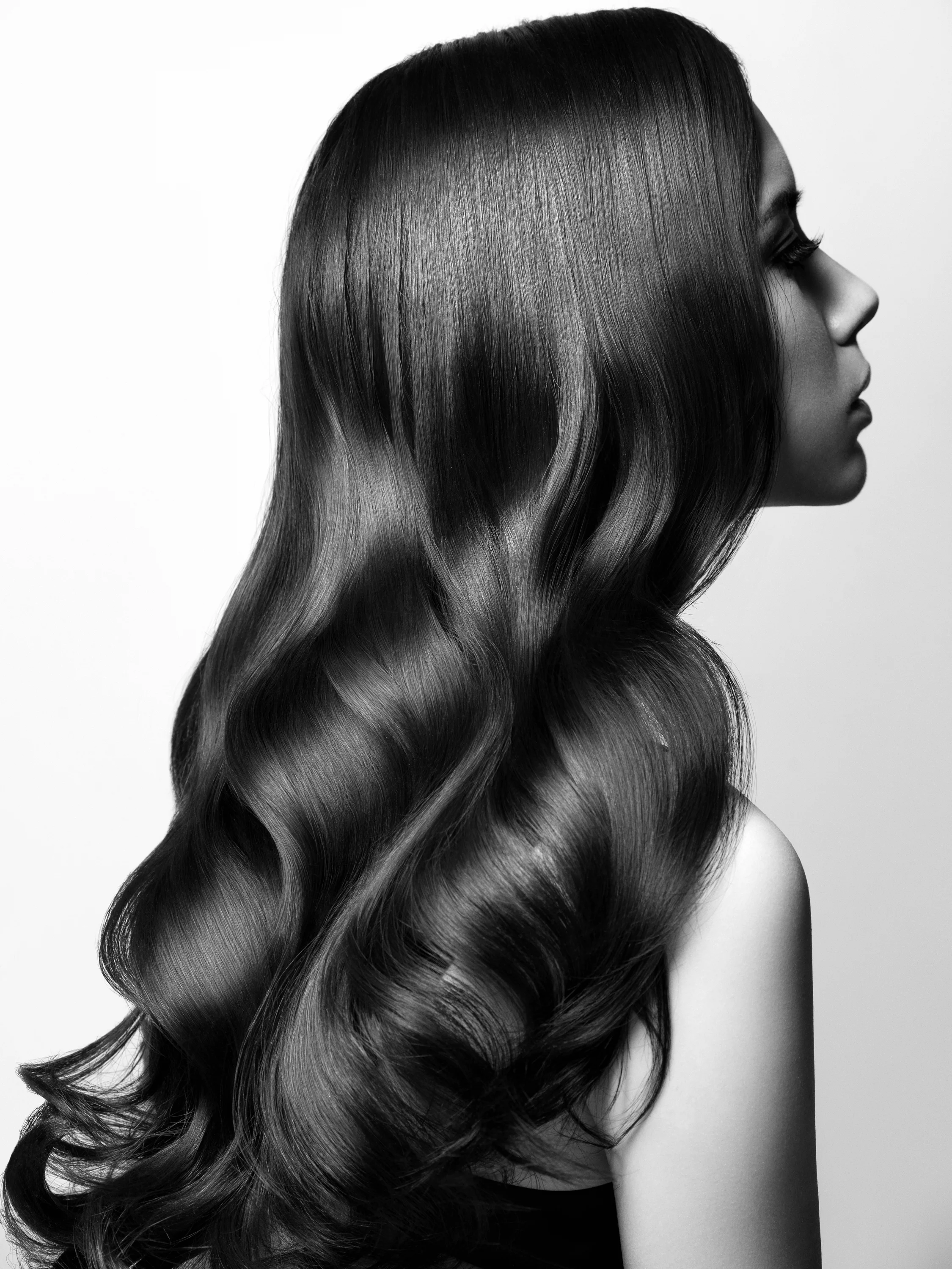 shutterstock_501538567(1).jpg
