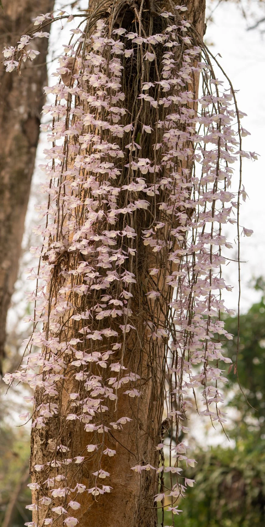 Meredith  (3 of 206).jpg