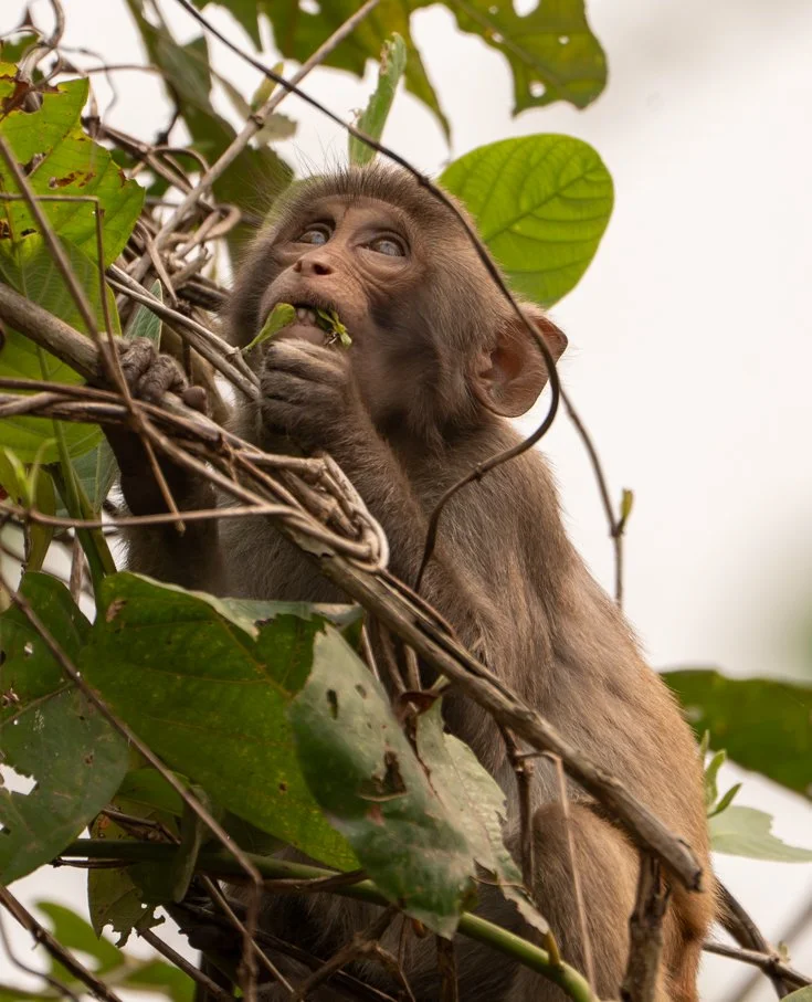 Meredith  (6 of 206).jpg