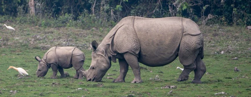 Meredith  (7 of 206).jpg