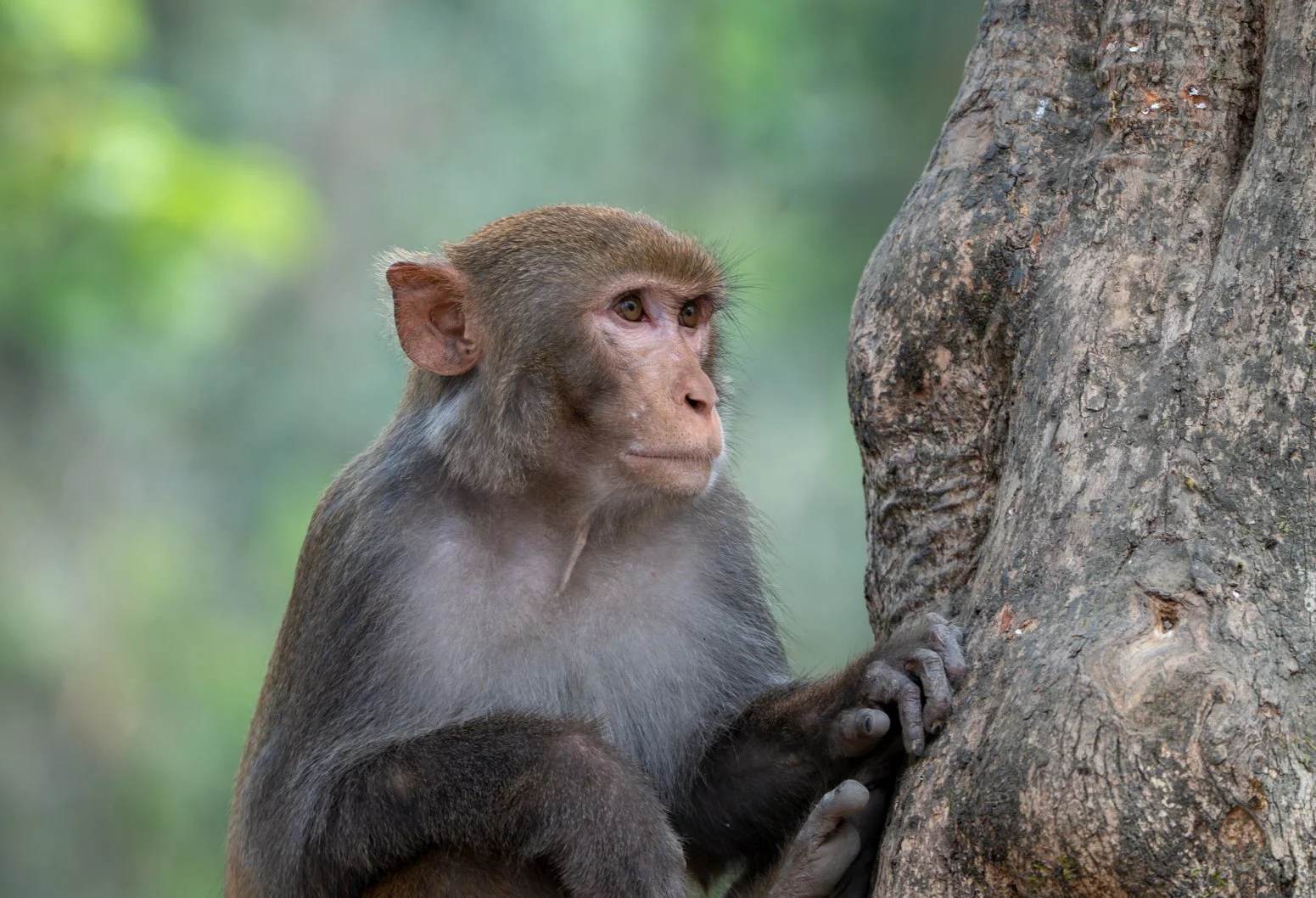 Meredith  (11 of 206).jpg