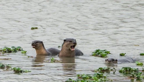 Meredith  (14 of 206).jpg