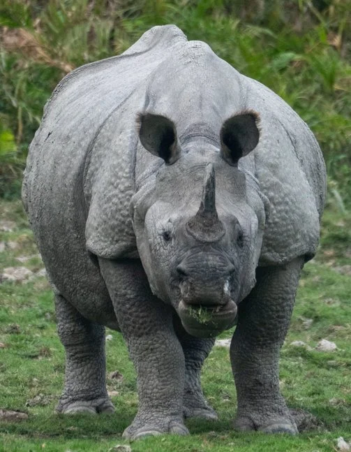 Meredith  (17 of 206).jpg