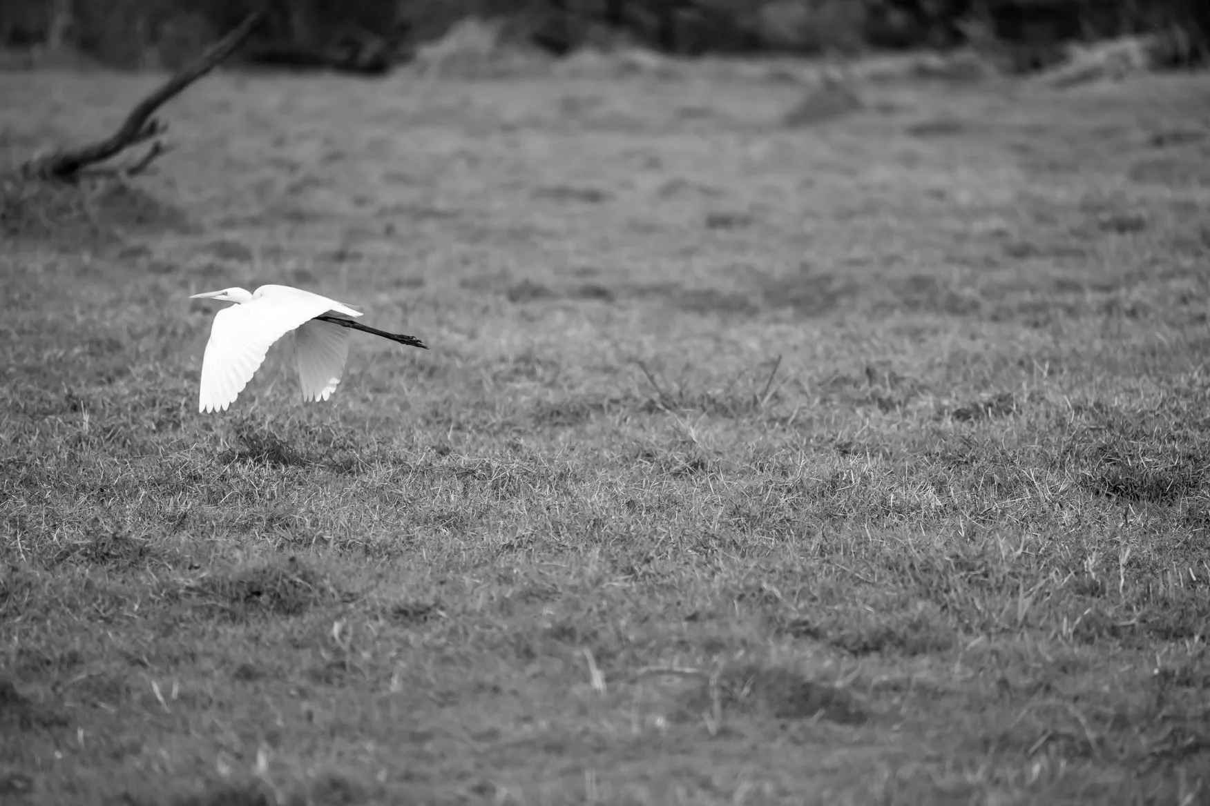 Meredith  (38 of 206).jpg