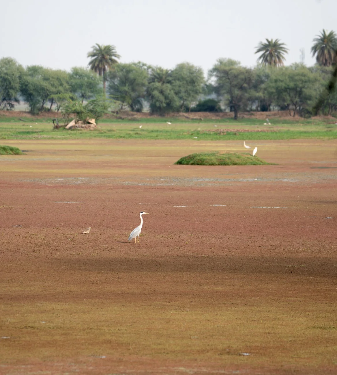 Meredith  (40 of 206).jpg