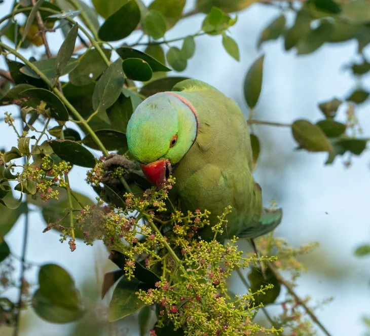 Meredith  (43 of 206).jpg