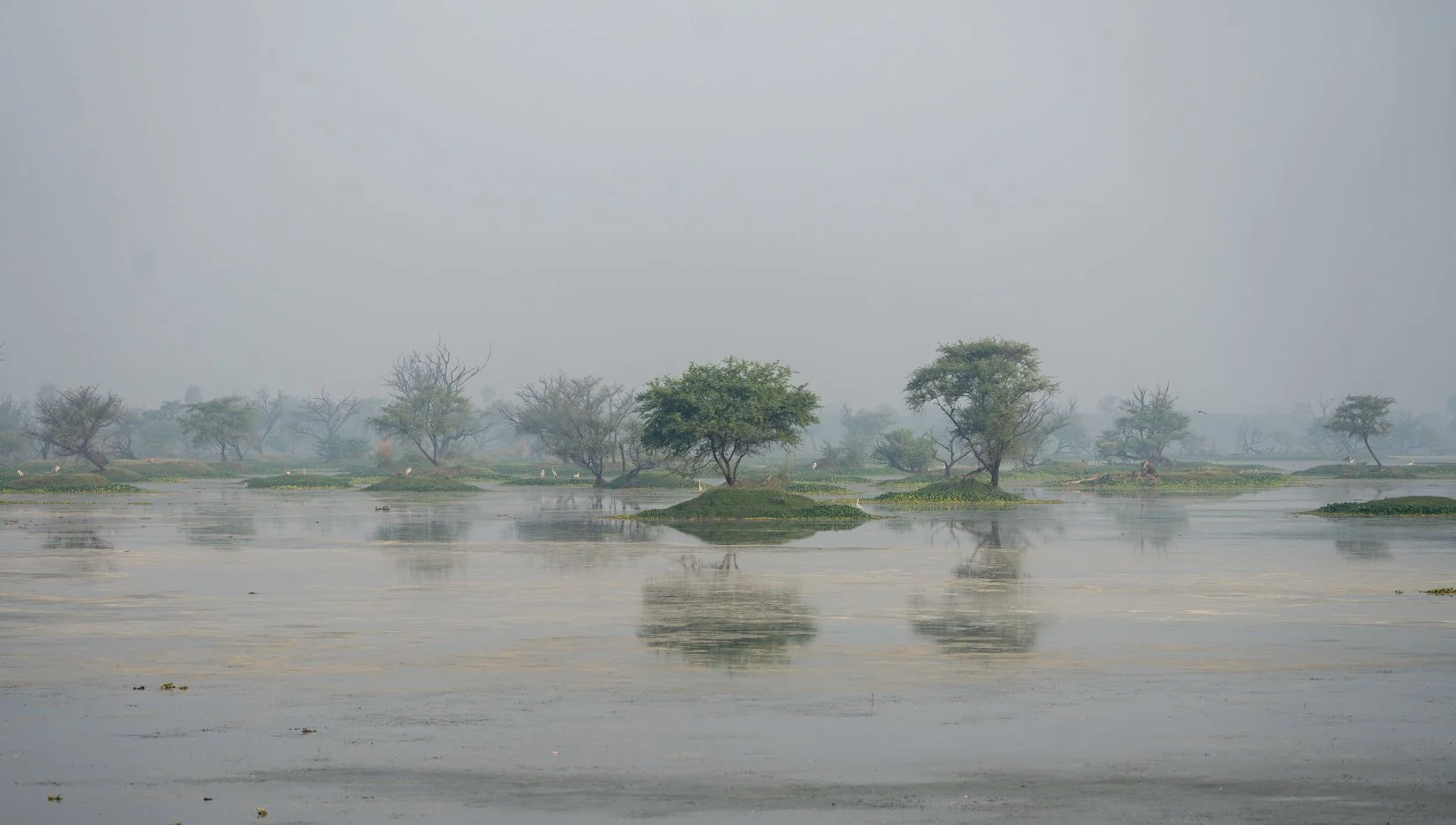 Meredith  (44 of 206).jpg