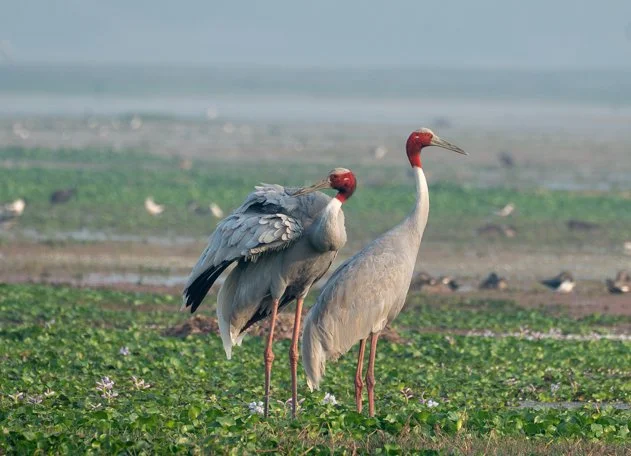 Meredith  (45 of 206).jpg