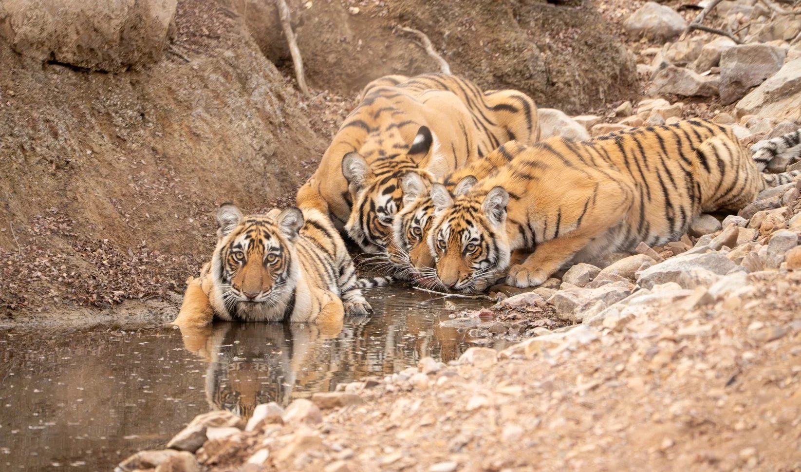 Meredith  (50 of 206).jpg