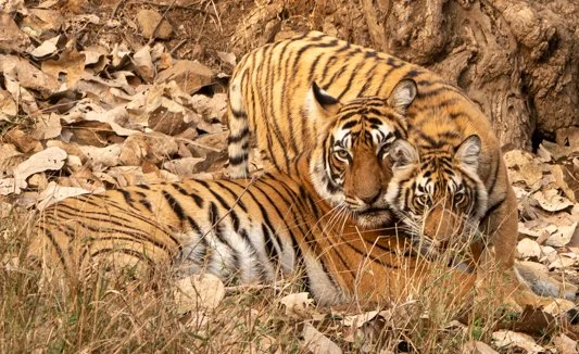 Meredith  (54 of 206).jpg