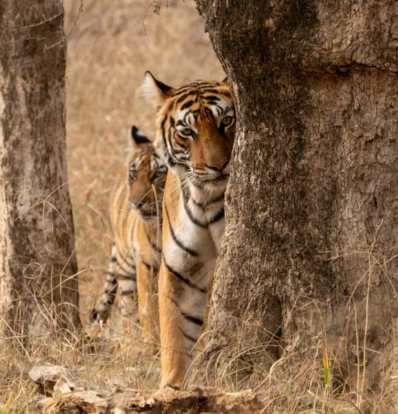 Meredith  (55 of 206).jpg