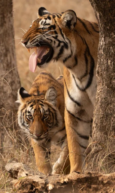 Meredith  (57 of 206).jpg